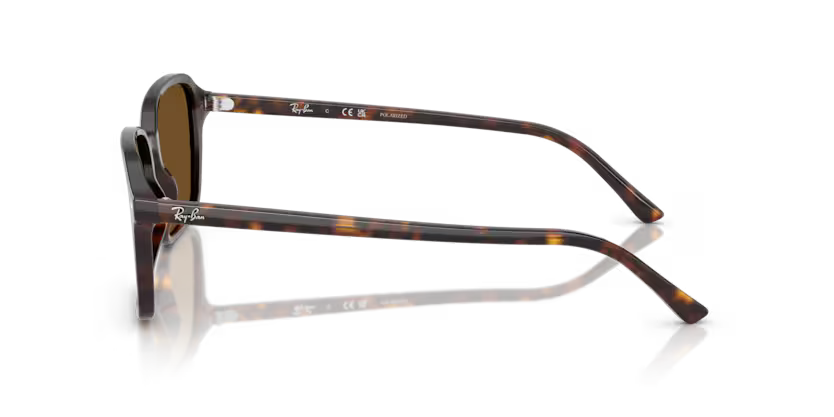 Ray-Ban 0RB2231