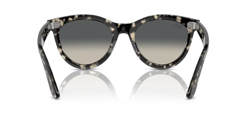 Ray-Ban 0RB2241
