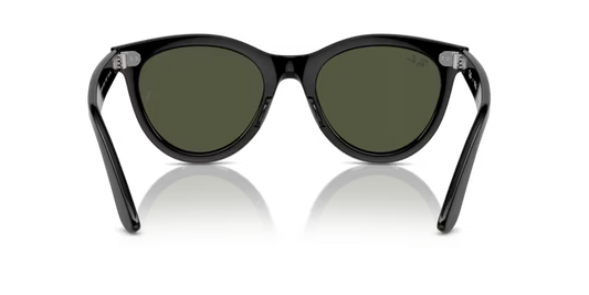 Ray-Ban 0RB2241