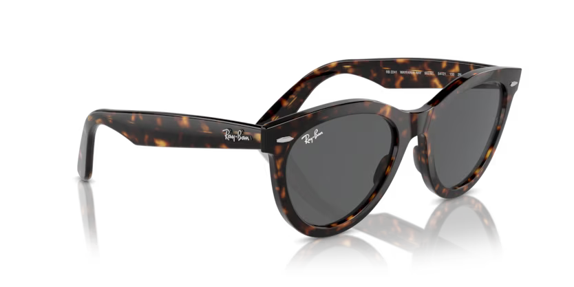 Ray-Ban 0RB2241