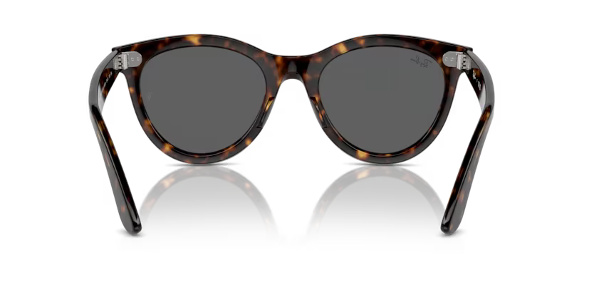 Ray-Ban 0RB2241
