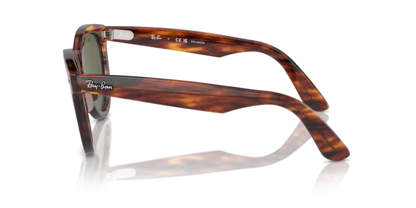 Ray-Ban 0RB2241