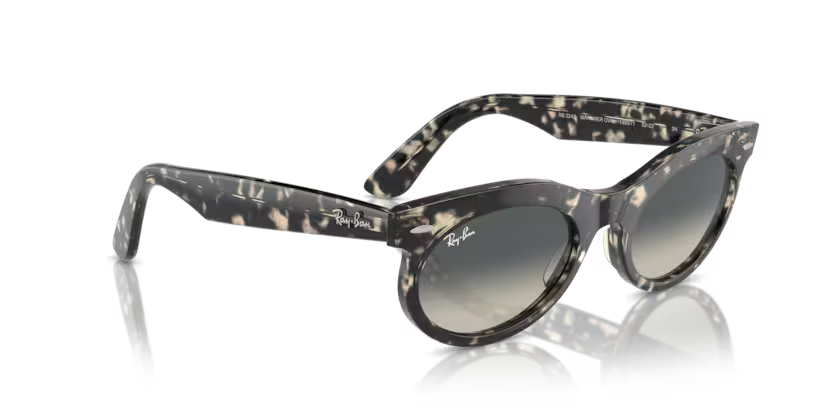 Ray-Ban 0RB2242