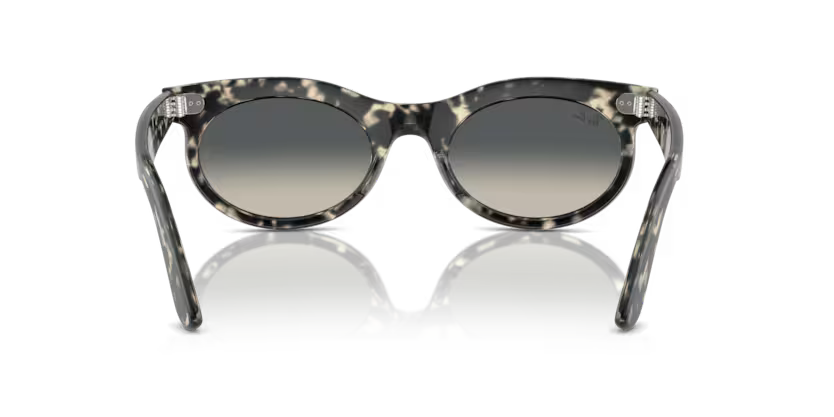 Ray-Ban 0RB2242