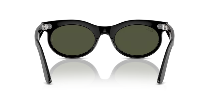 Ray-Ban 0RB2242