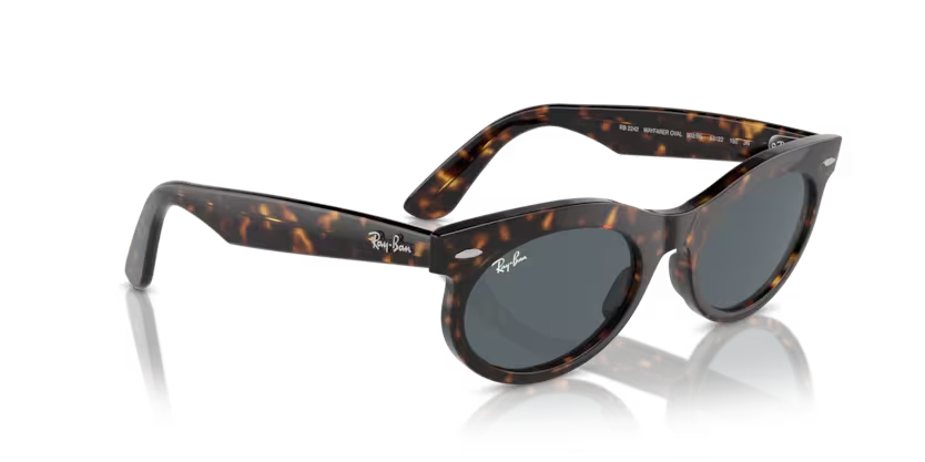 Ray-Ban 0RB2242
