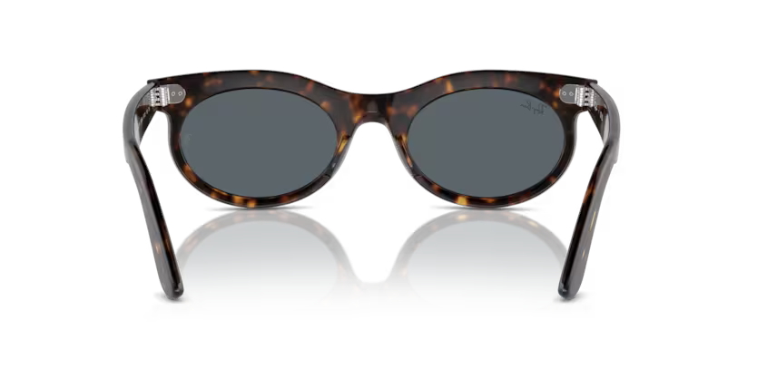 Ray-Ban 0RB2242