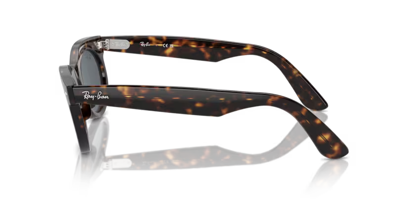 Ray-Ban 0RB2242
