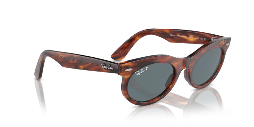 Ray-Ban 0RB2242