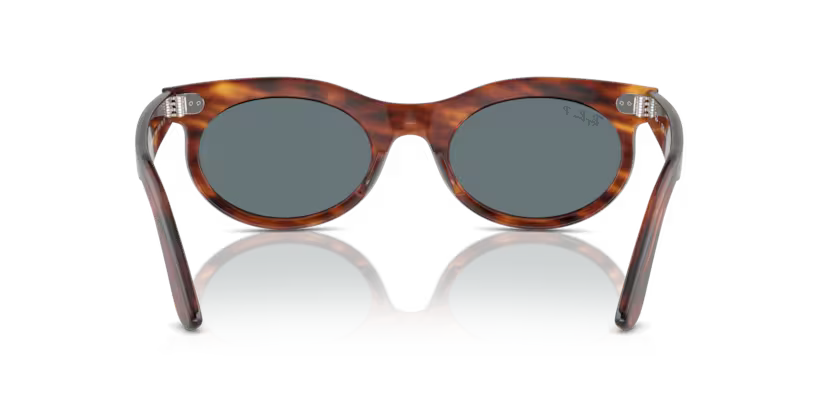 Ray-Ban 0RB2242