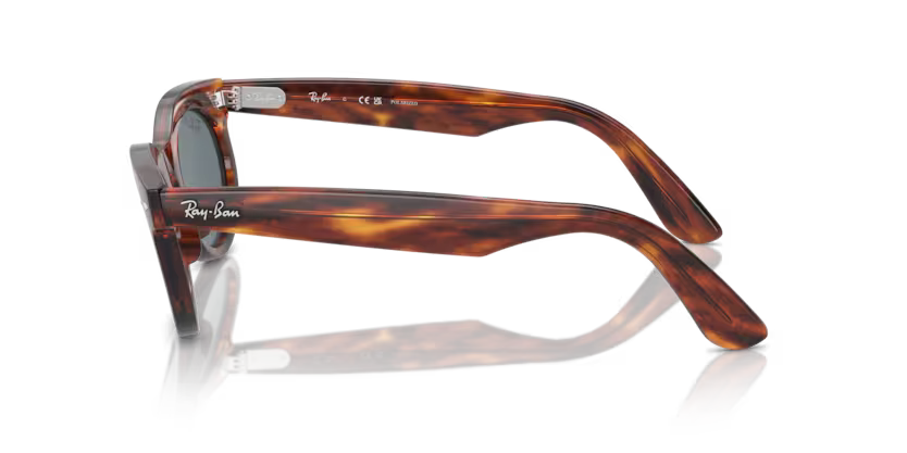 Ray-Ban 0RB2242
