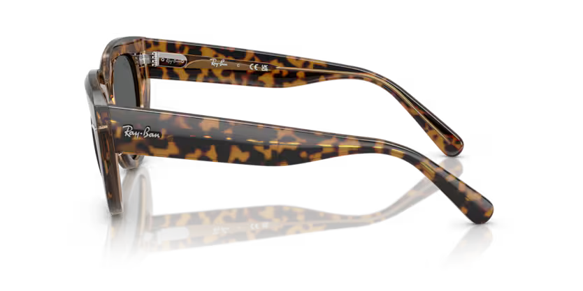 Ray-Ban 0RB2286