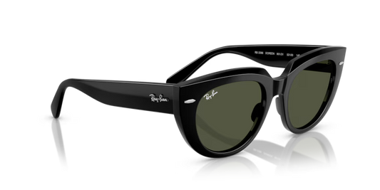 Ray-Ban 0RB2286