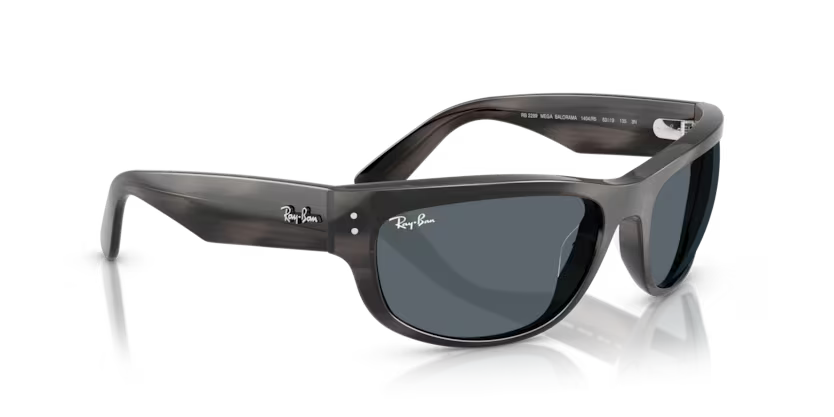 Ray-Ban 0RB2289