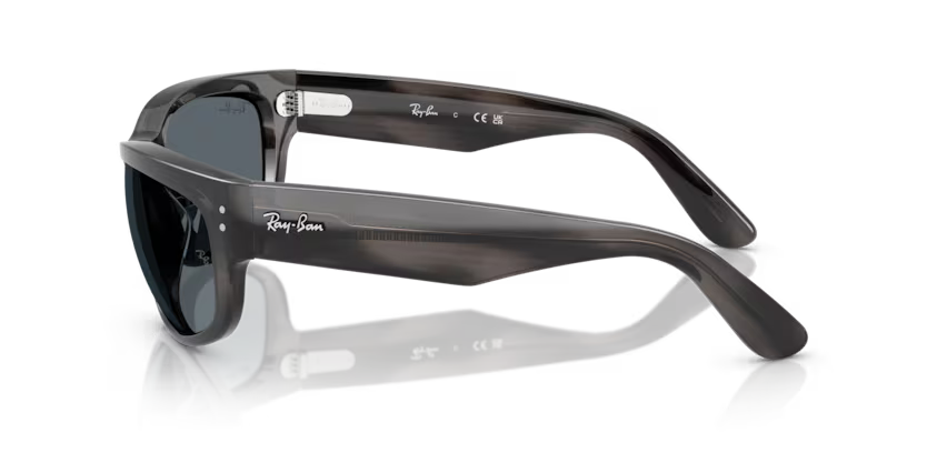 Ray-Ban 0RB2289