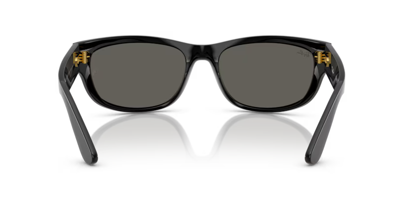 Ray-Ban 0RB2289