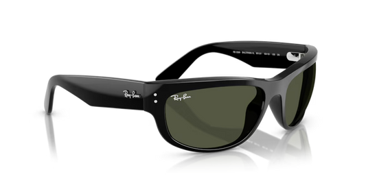 Ray-Ban 0RB2289