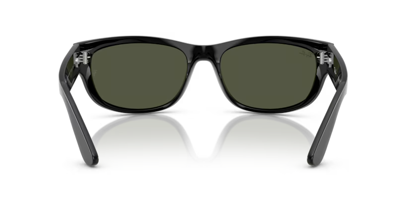 Ray-Ban 0RB2289