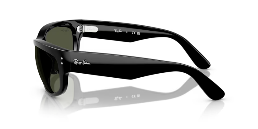 Ray-Ban 0RB2289