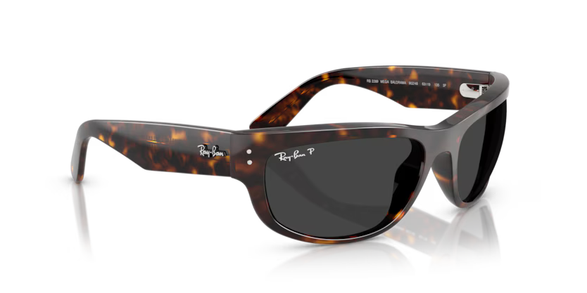 Ray-Ban 0RB2289