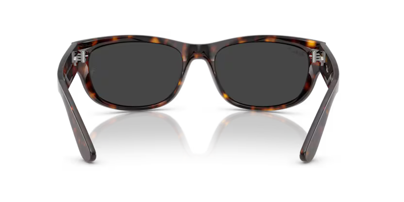 Ray-Ban 0RB2289