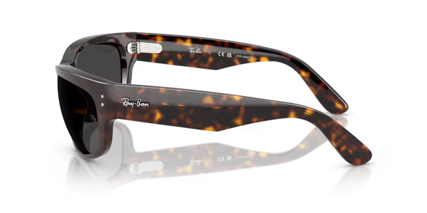 Ray-Ban 0RB2289