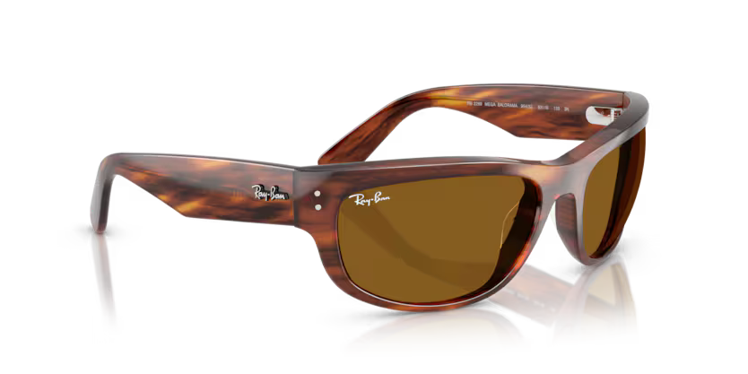 Ray-Ban 0RB2289