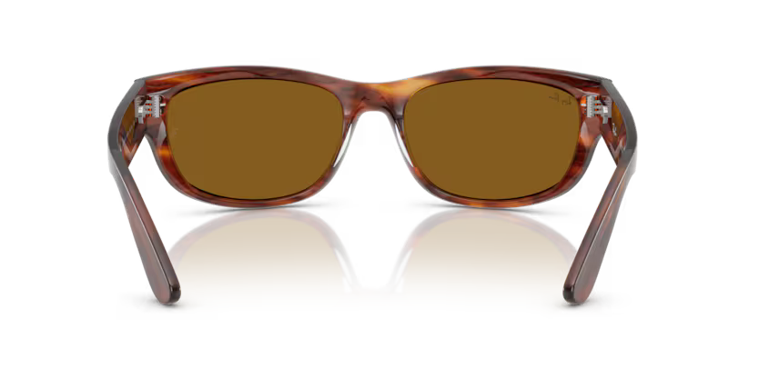 Ray-Ban 0RB2289