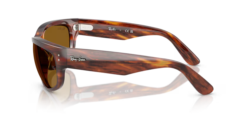 Ray-Ban 0RB2289