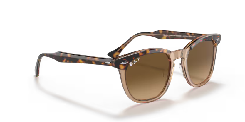 Ray-Ban 0RB2298