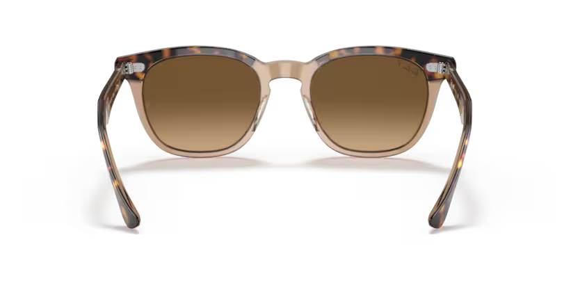 Ray-Ban 0RB2298