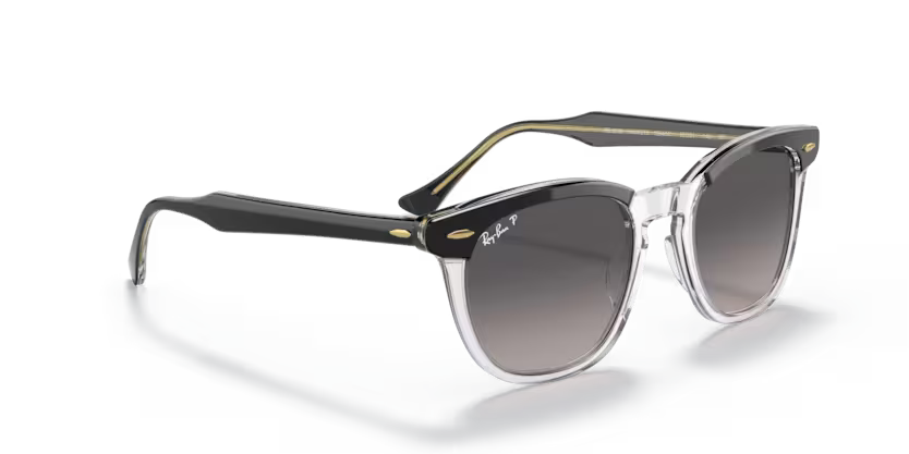 Ray-Ban 0RB2298