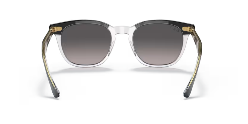Ray-Ban 0RB2298