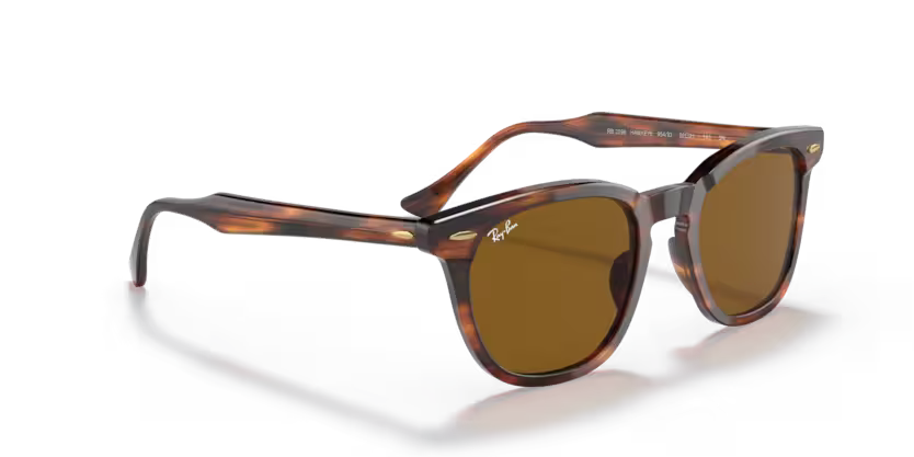 Ray-Ban 0RB2298