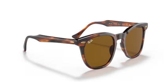 Ray-Ban 0RB2298