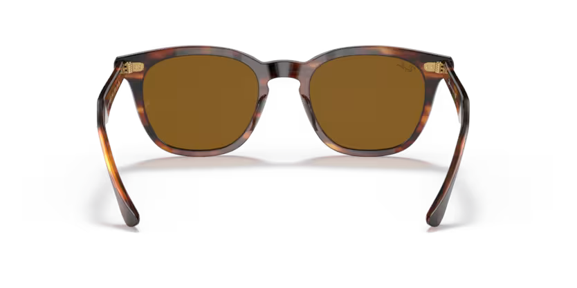 Ray-Ban 0RB2298