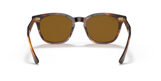 Ray-Ban 0RB2298