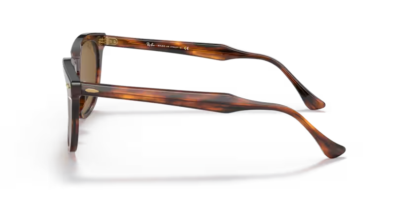 Ray-Ban 0RB2298