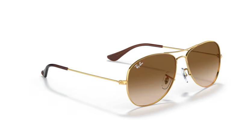 Ray-Ban 0RB3362