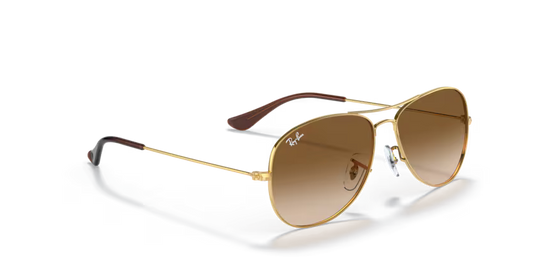 Ray-Ban 0RB3362