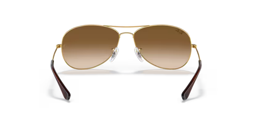Ray-Ban 0RB3362