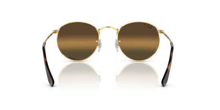 Ray-Ban 0RB3447