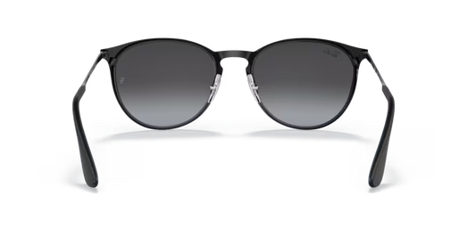 Ray-Ban 0RB3539