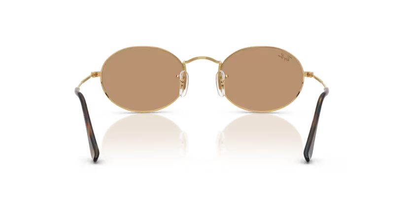 Ray-Ban 0RB3547