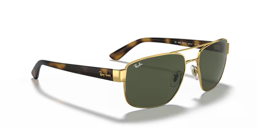 Ray-Ban 0RB3663