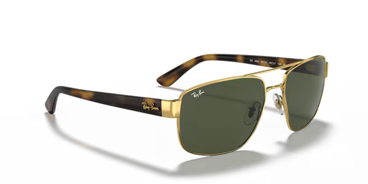 Ray-Ban 0RB3663