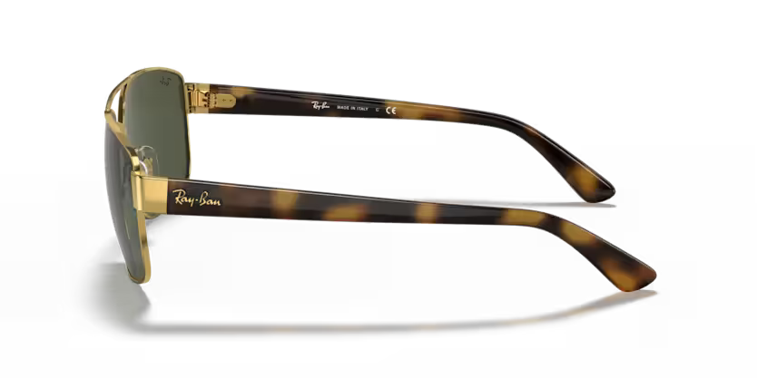 Ray-Ban 0RB3663