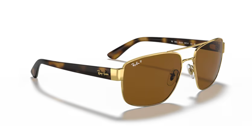 Ray-Ban 0RB3663