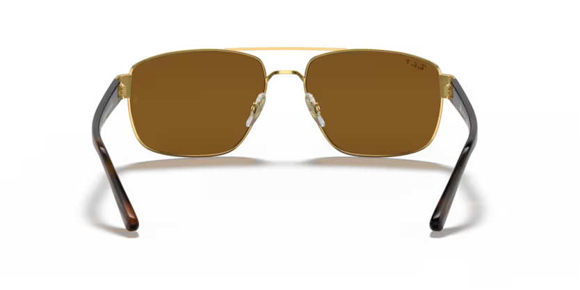 Ray-Ban 0RB3663