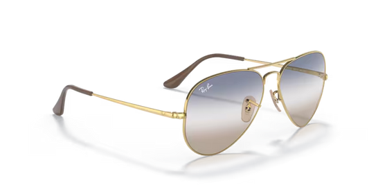Ray-Ban 0RB3689